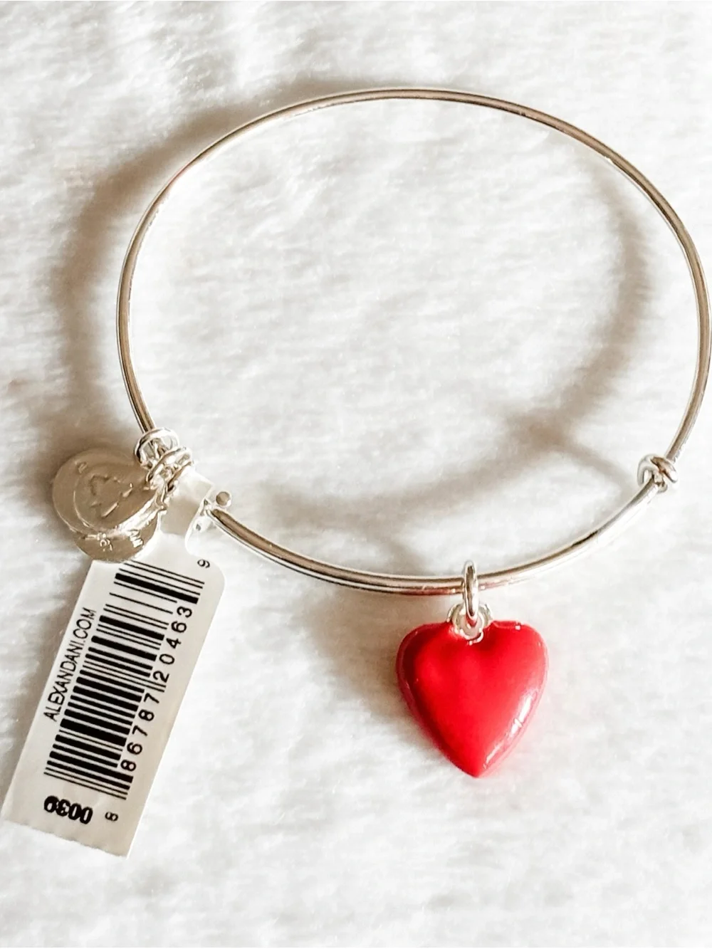 NWT! Alex and Ani XOXO Heart Charm Bangle Bracelet - Silver